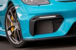 Porsche 718 Cayman GT4 2019 года (WW)